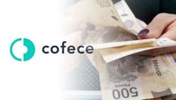 'Tiene que existir' Cofece para proteger a consumidores en México dice comisionada ante posible desaparición | Entérate