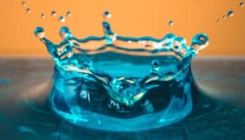 Las Plumas de la Serpiente: Poesía de agua