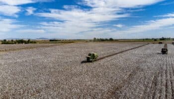 La tierra no es de nadie | Artículo de Ross Barrantes