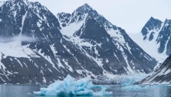 La Antártida: diagrama sistémico | Articulo de Ross Barrantes