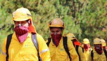 Guardianes de los bosques y el agua están siendo asesinados en Guatemala: Estas son las historias de Marco Zuleta y Misael Mata