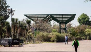 Crean un bolígrafo con IA que puede detectar la enfermedad de Parkinson