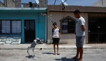¿Conoces a Waldog? El perro robot que promueve la bondad animal en México