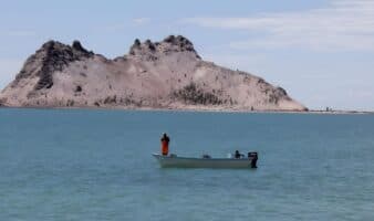 Impugnadas y anuladas: ¿qué está pasando con las sanciones emitidas por Conapesca en México?