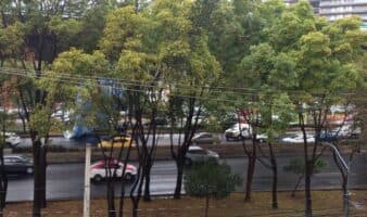 Viento desprende megalona en Periférico Sur y vuela sobre el Segundo Piso