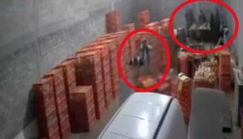 Por extorsión, aseguran pollería en Toluca donde secuestraron a 4