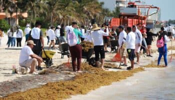 Arranca el operativo contra el sargazo en el Caribe mexicano