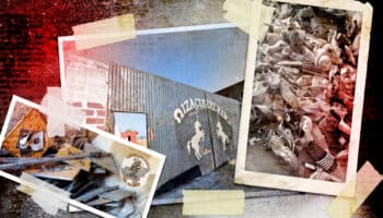 CNDH detecta irregularidades en investigación del 'Rancho Izaguirre'; no toca a FGR