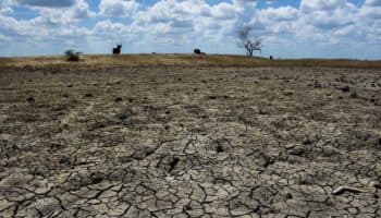 'Estamos a tiempo y estamos obligados. Hay que evitar la catástrofe': Julia Carabias sobre la crisis ambiental en México