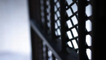 Secuestros bajan 24% en noviembre; Sinaloa concentra la mayor incidencia mensual, revela informe