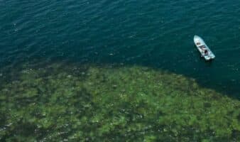 Zapotitlán: la comunidad pesquera que convirtió sus arrecifes en una reserva para el futuro en México | Mongabay