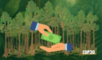 COP30 | Nace fondo histórico de 5,000 mdd para proteger bosques tropicales en 70 países