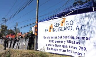 Escala pleito legal: Fundación Haghenbeck demandará a Refugio Franciscano por daño moral tras acusación de montaje
