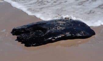 Reportan hidrocarburo en costas de Tamaulipas