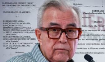 Cuando el populismo necesita garantías: sobre el uso intermitente del Estado de Derecho | Artículo de Roberto Lara