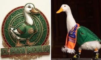 Dos personas intentaron registrar la marca del Pato Merlín antes que su familia