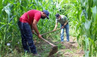 Sequías, el Niño y más crisis ambientales en la llegada de Latinoamérica a la COP17 | Mongabay Latam